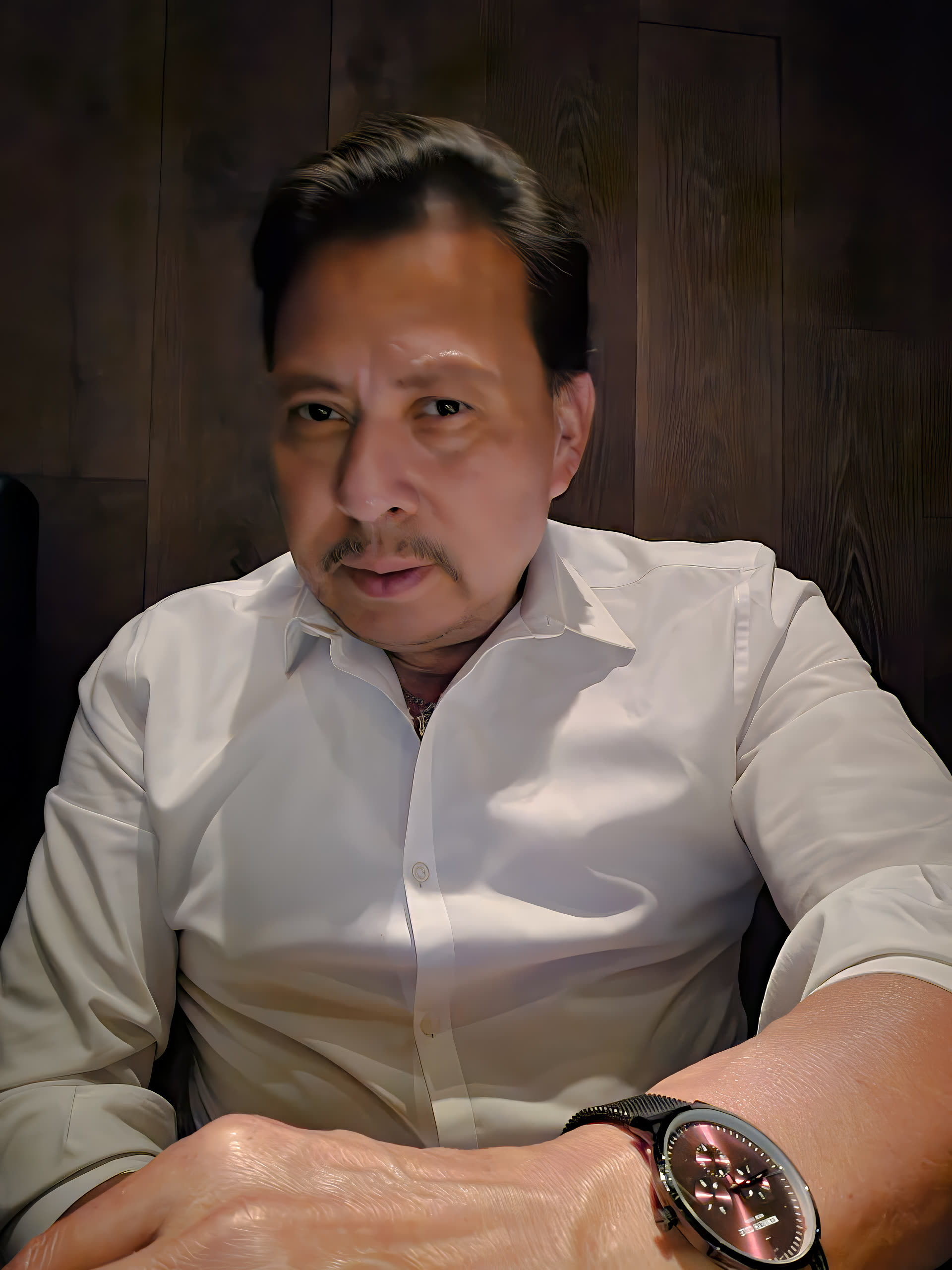 Evic G Villanueva